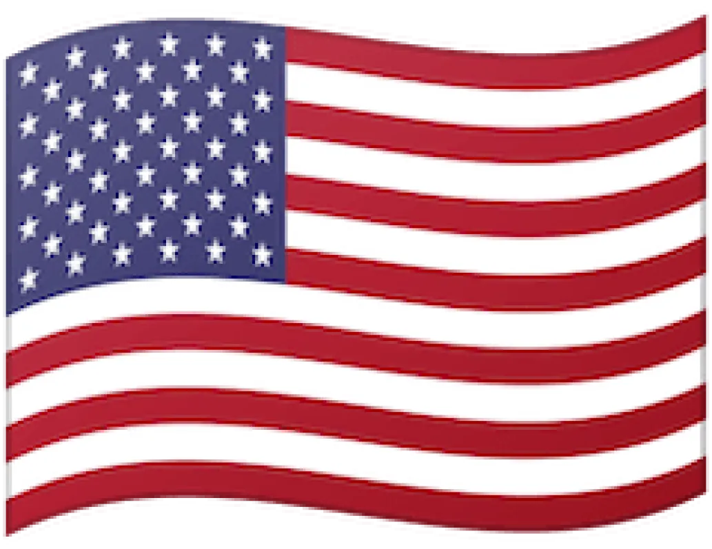 USA Logo